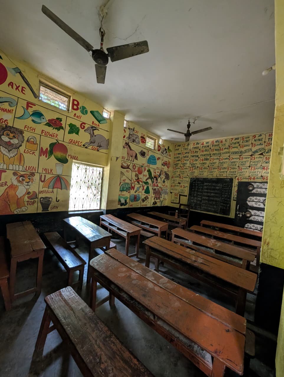 A.L.Y. Mainpuriya Inter College campus photograph